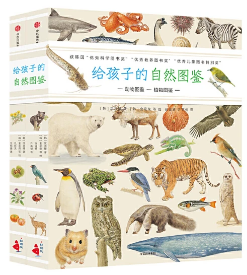 哪里有针对青少年的篮球声誉培养计划_1